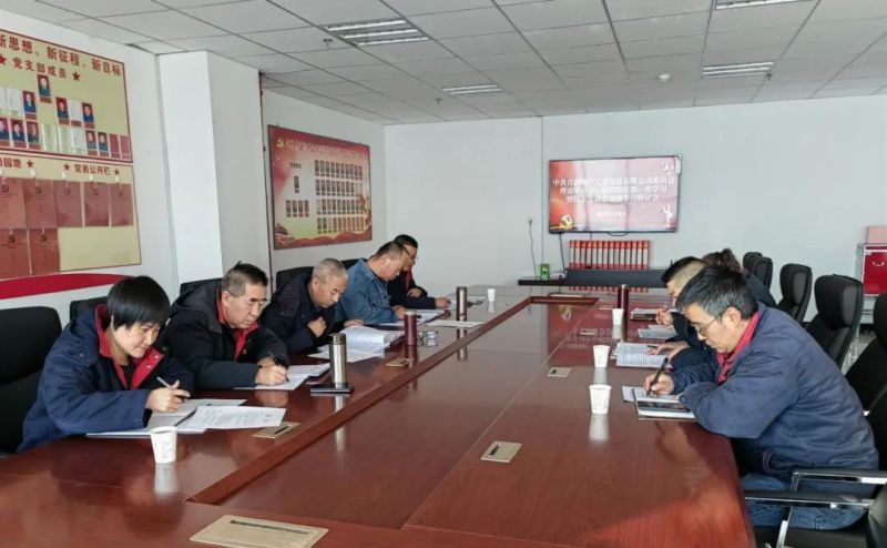 6732顶级游戏娱乐工投公司党委召开理论学习中心组2025年第一次学习暨民主生活会会前学习研讨会