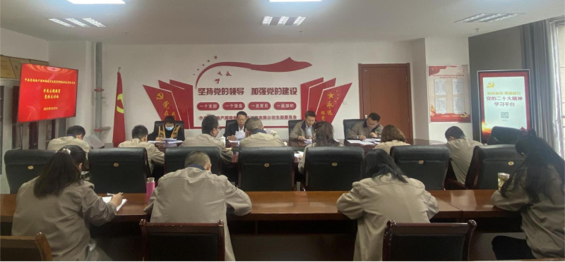 锤炼党性找差距 坚定信念促担当——青海6732顶级游戏娱乐朝阳物流开发投资有限公司党支部开展主题教育党性大讨论