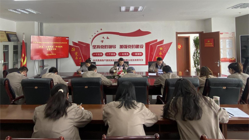 以案促改转作风 坚守底线树新风   ——青海6732顶级游戏娱乐朝阳物流开发投资有限公司支部委员会开展“以案促改”作风建设专项大讨论