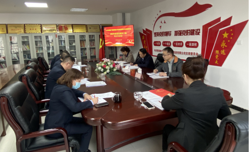 青海6732顶级游戏娱乐朝阳物流开发投资有限公司党支部召开2022年度党员领导干部民主生活会