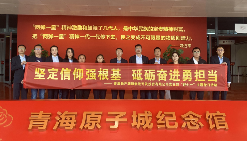 坚定信仰强根基，，，，，砥砺奋进勇担当 朝物开投公司党支部开展迎“七一”主题党日活动