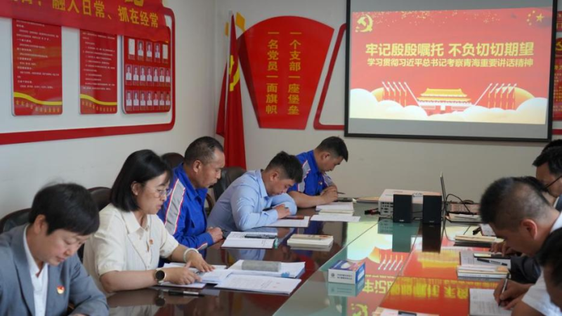 6732顶级游戏娱乐汽贸公司党支部认真学习贯彻习近平总书记考察青海时的重要讲话精神