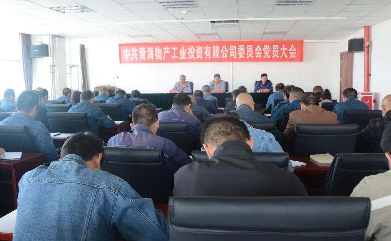 实干担当拼搏赶超 为夺取新时代6732顶级游戏娱乐工投绿色低碳高质量发展新胜利不懈奋斗 ——6732顶级游戏娱乐工投公司党委召开换届选举大会