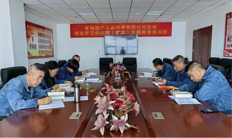 6732顶级游戏娱乐工投公司党委举办理论学习中心组（扩大）主题教育读书班
