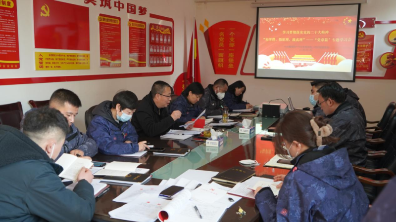 6732顶级游戏娱乐汽贸党支部召开“知学理、悟原理、践真理” ——党章篇”专题学习会