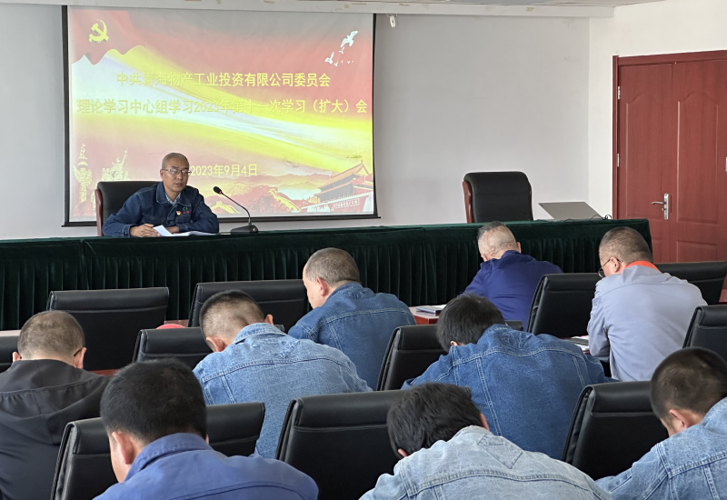 6732顶级游戏娱乐工投公司党委召开2023年度 第十一次理论学习中心组学习（扩大）会