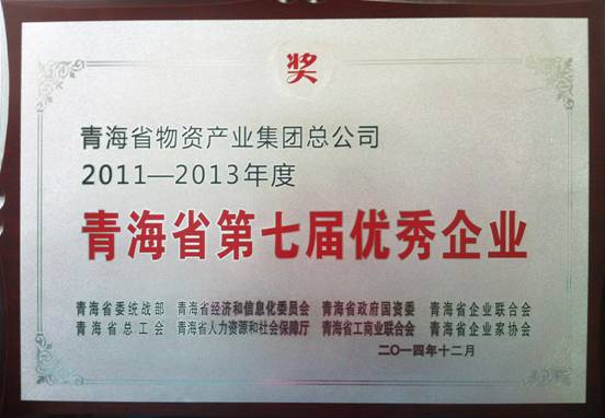 青海6732顶级游戏娱乐荣获“青海省第七届优秀企业”荣誉称号