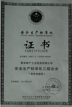青海6732顶级游戏娱乐工业投资有限公司安全生产标准化三级企业审核达标
