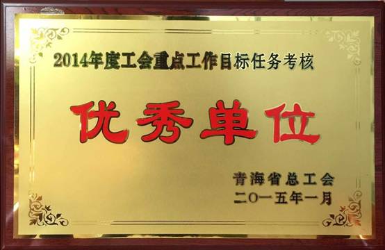 推进工会工作落实，，，，，，，，提升服务职工水平